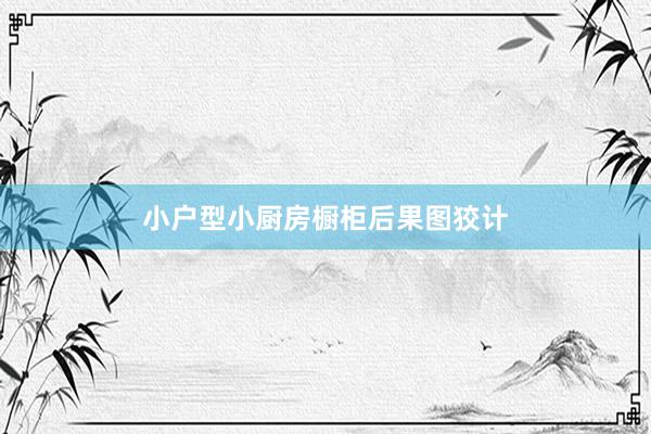 小户型小厨房橱柜后果图狡计